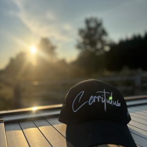Pre-order Cerritulus Mesh Back Cap Black